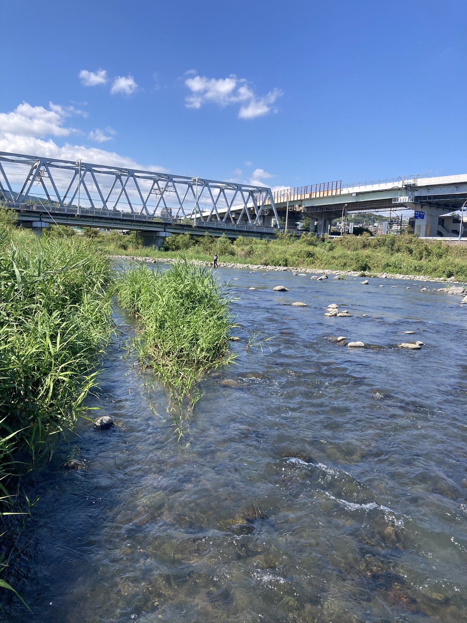 小田原漁港近くの川と電車