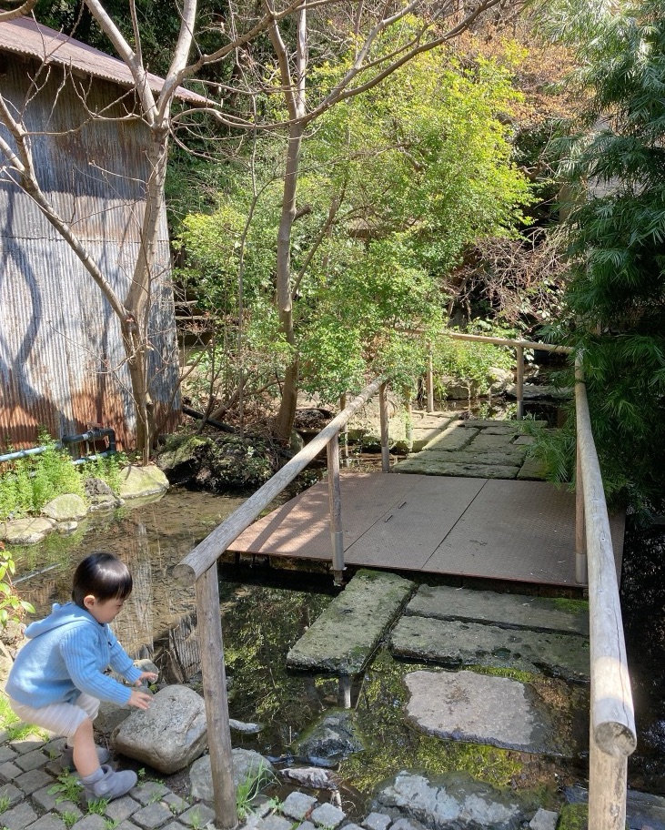 モキチの緑溢れる敷地内