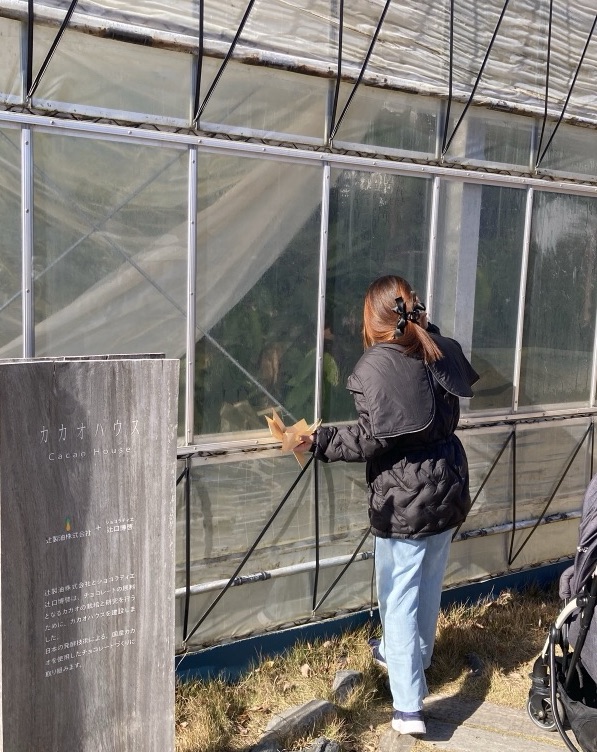 ヴィソン内のカカオハウス