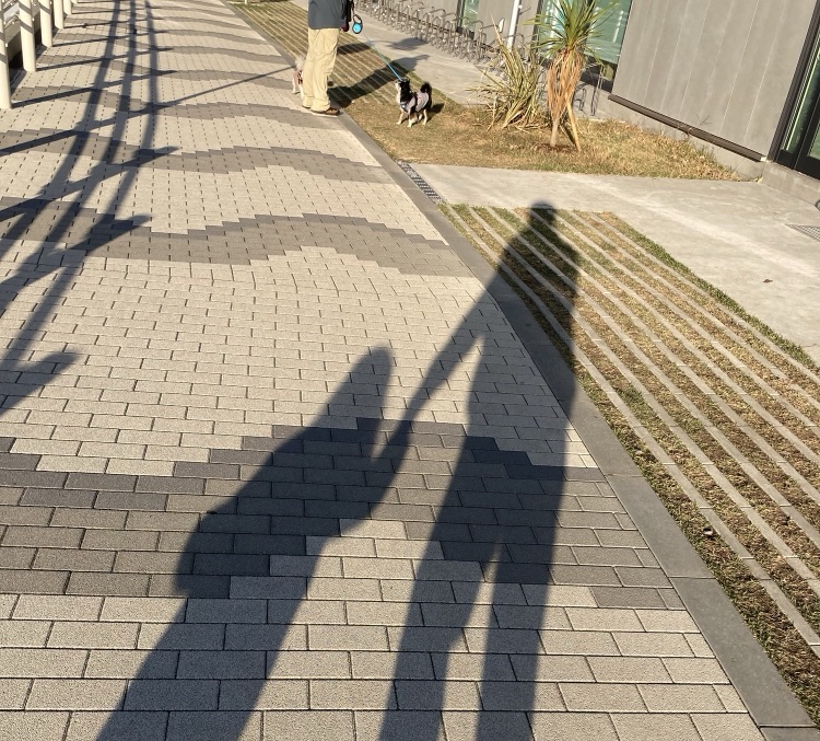 娘と手を繋いでいる影