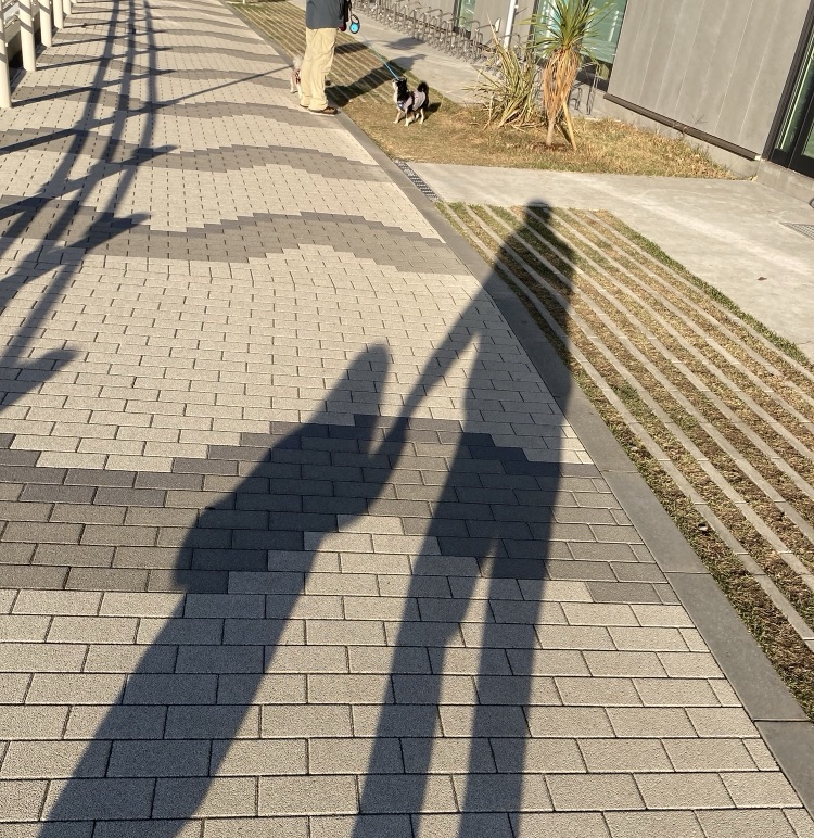 娘と手を繋いでいる影