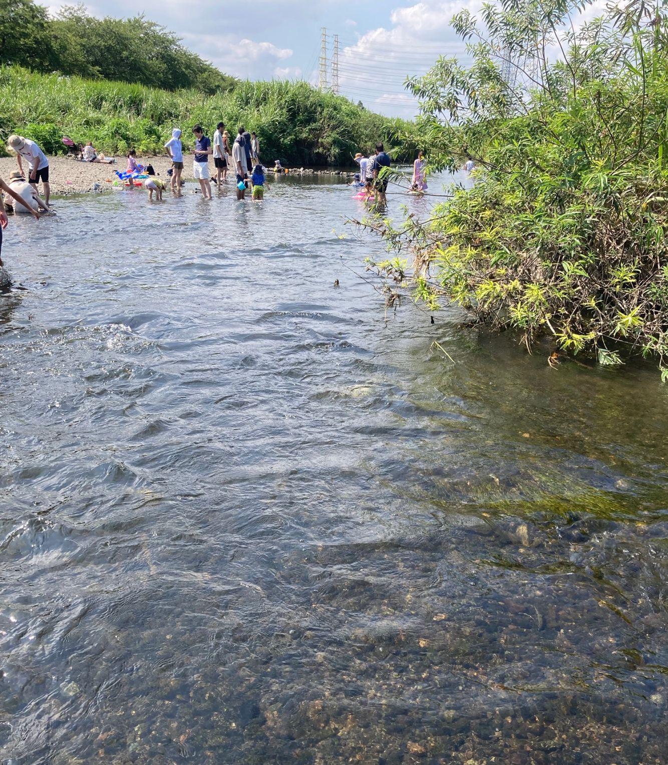 引田親水公園の川遊びの様子