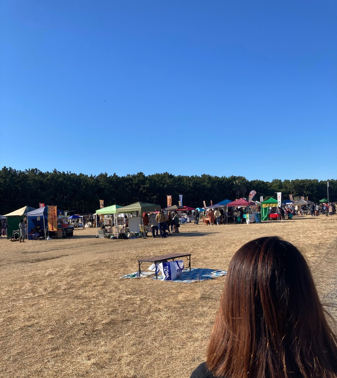 お店が並ぶ様子