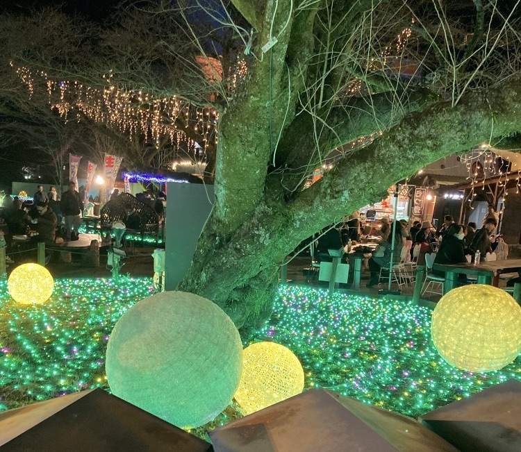 時之栖夜のイルミネーション