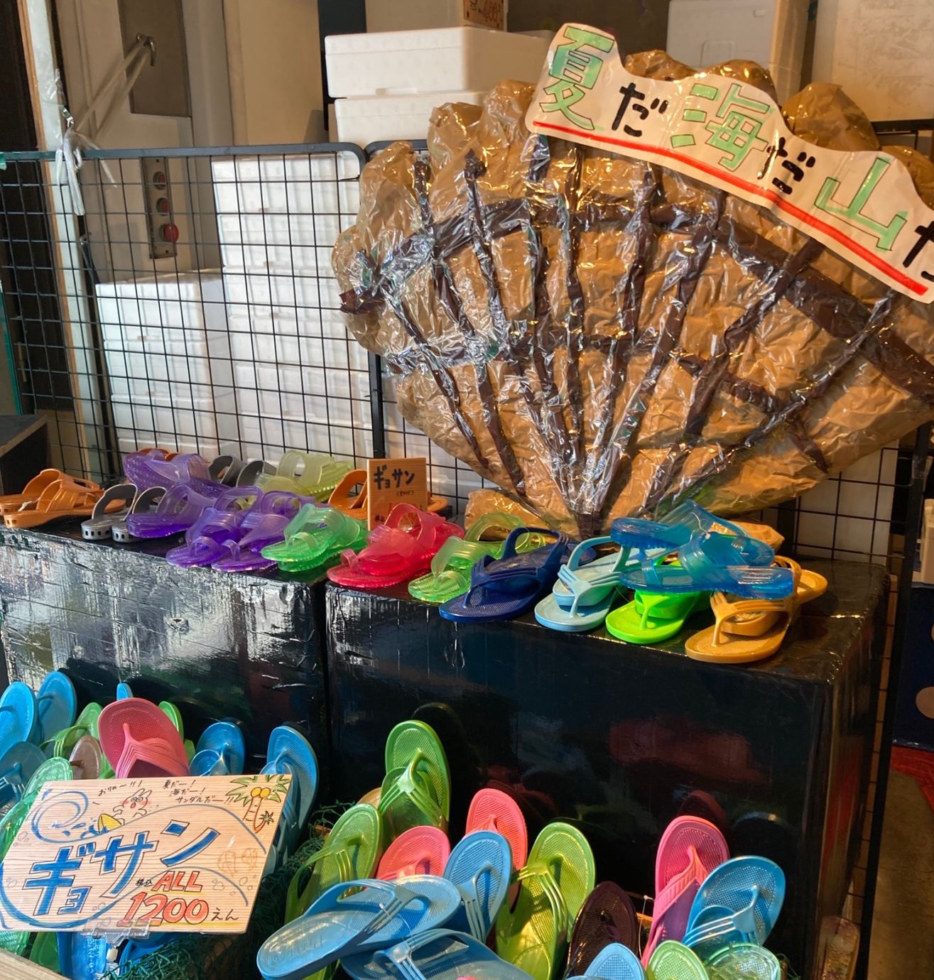 ギョサンの写真