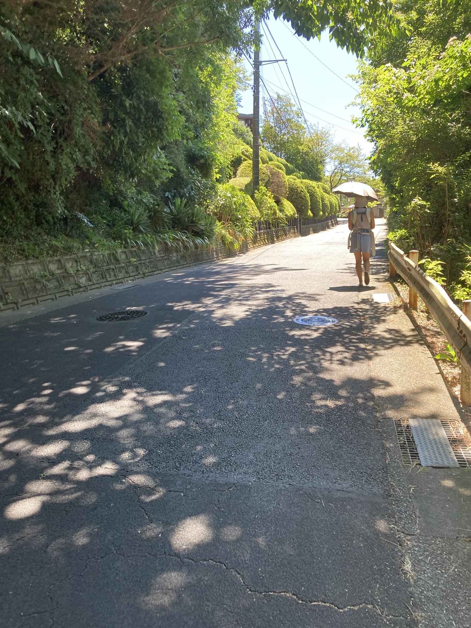 北鎌倉らしい道