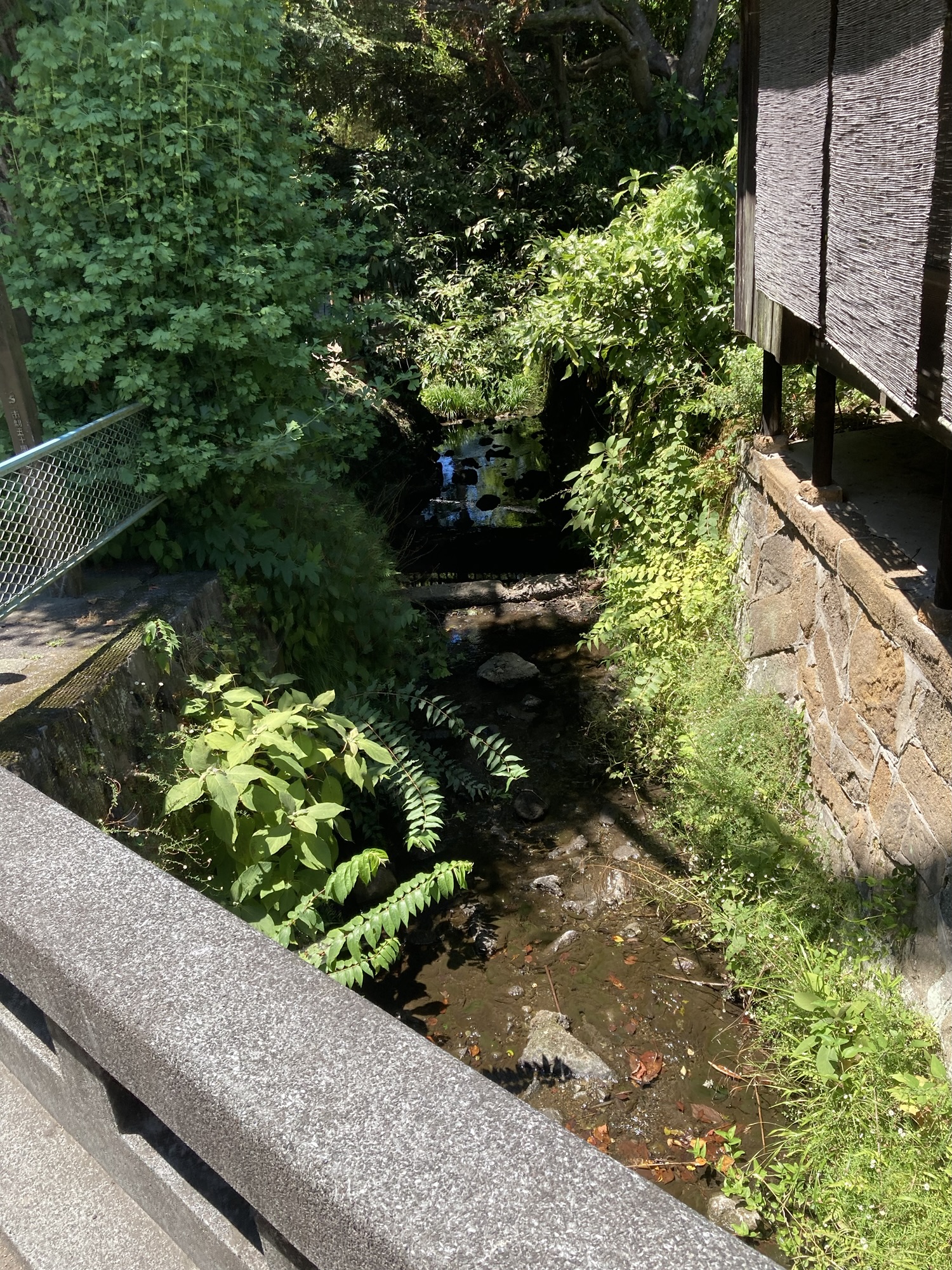 お店までの道のり