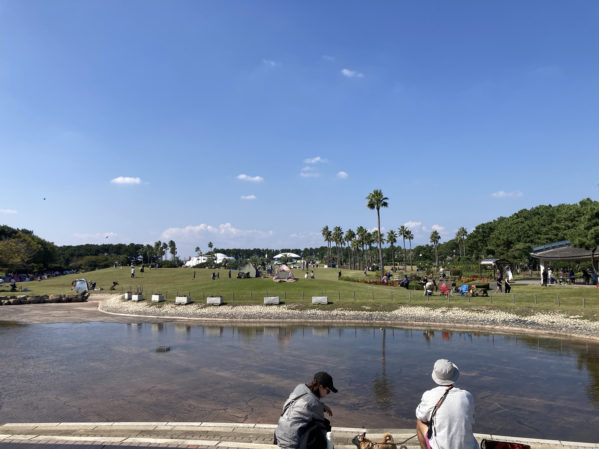 辻堂海浜公園の様子